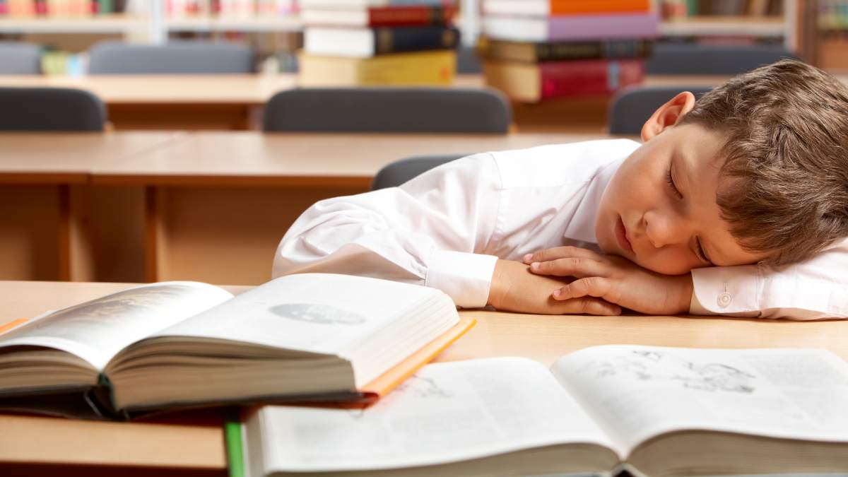 Featured image for “Vuelta a clases sin estrés: cuatro tips para un regreso a clases sin ansiedad”